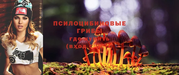 PSILOCYBIN Бугульма